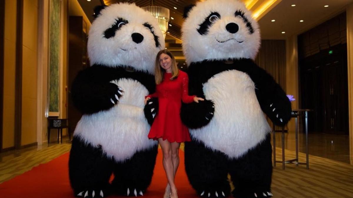 simona_halep_wuhan_panda_fb_64526100