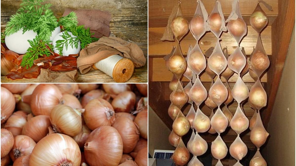 ceapa-in-ciorap-de-dama_61878100