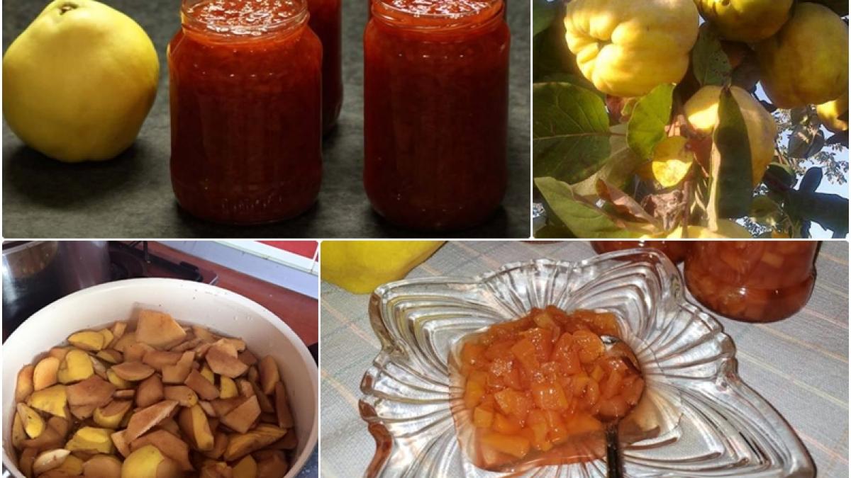 dulceata-gutui_18155600