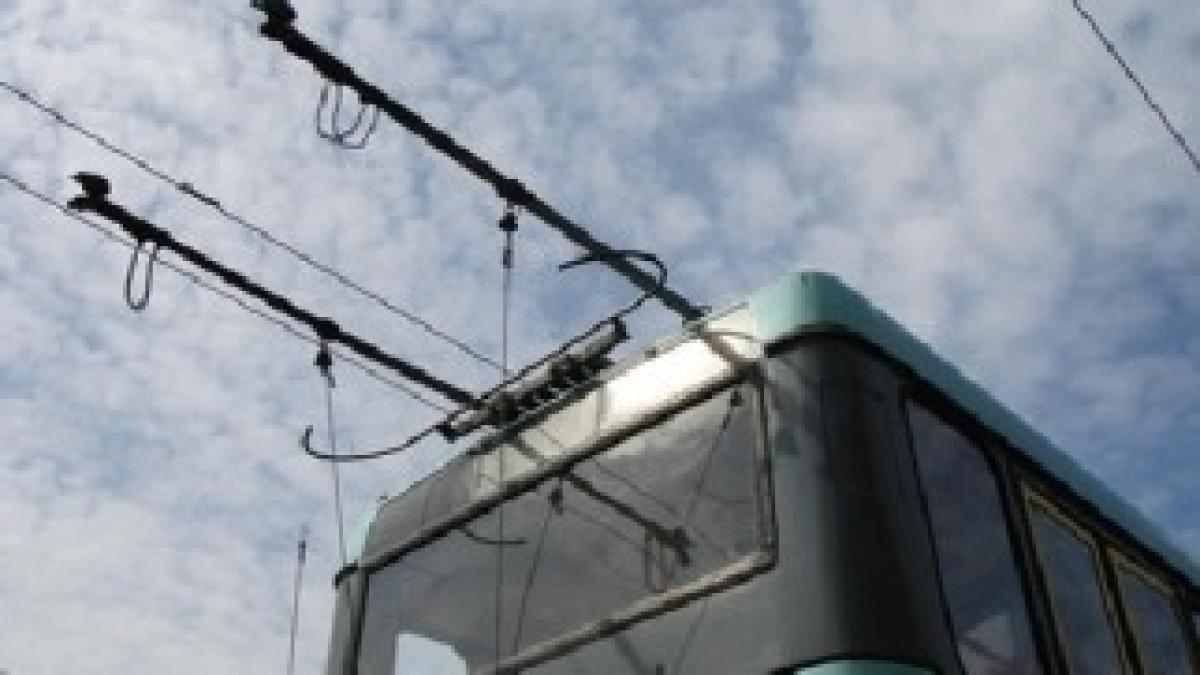 circulatia-troleibuzelor-blocata-in-zona-universitate-un-copac-cazut-a-rupt-cablurile-electrice-127870