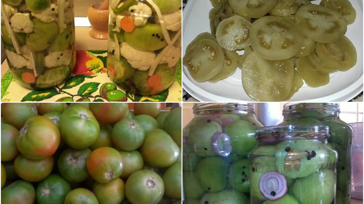 gogonele-murate_75703100