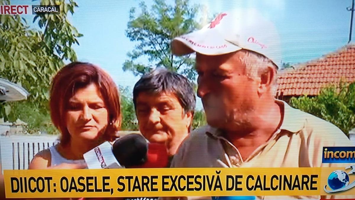 caracal-caz_89603800