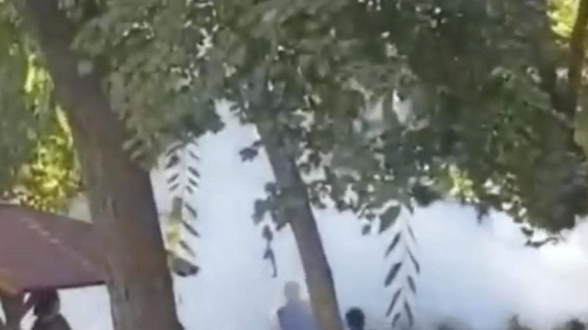 captura-de-ecran-din-2019-10-02-la-11-42-49_20315600