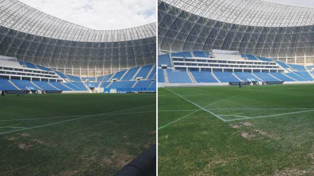 stadion_ion_oblemenco_gazon_fb_42253200