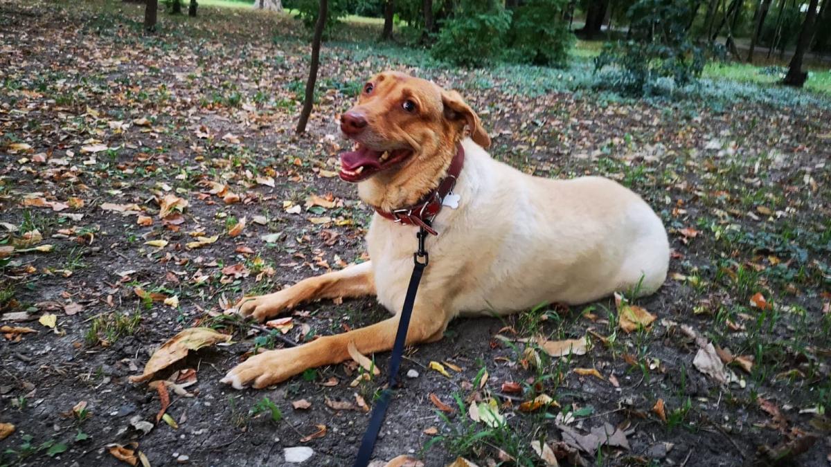 69675812_460818004513650_399514473439690752_n_23994700