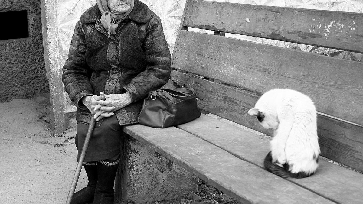 bunica-pensie-pisica_37106100