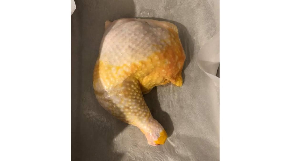 pui_vopsit_00_68564500