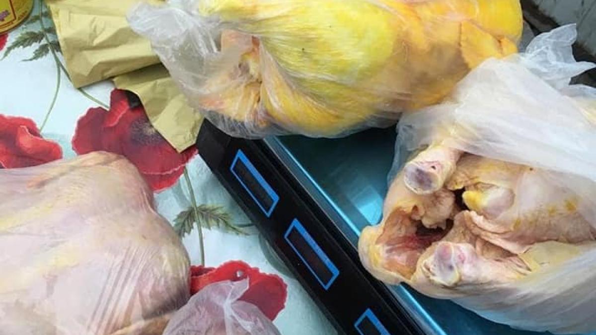 72276746_2565967733462876_7086599161117671424_n_13190600