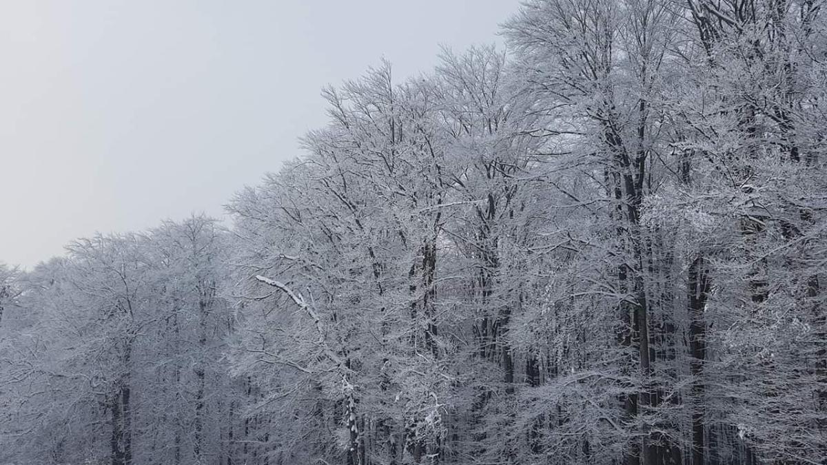 iarna_zapada_meteo_003_97362000