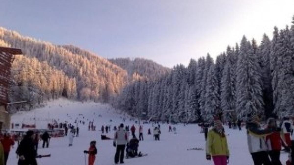 Partia-Bradul-din-Poiana-Brasov-20110224152522