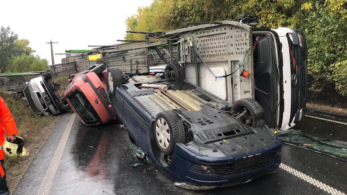 whatsapp-image-2019-10-10-at-19-36-29_69258500