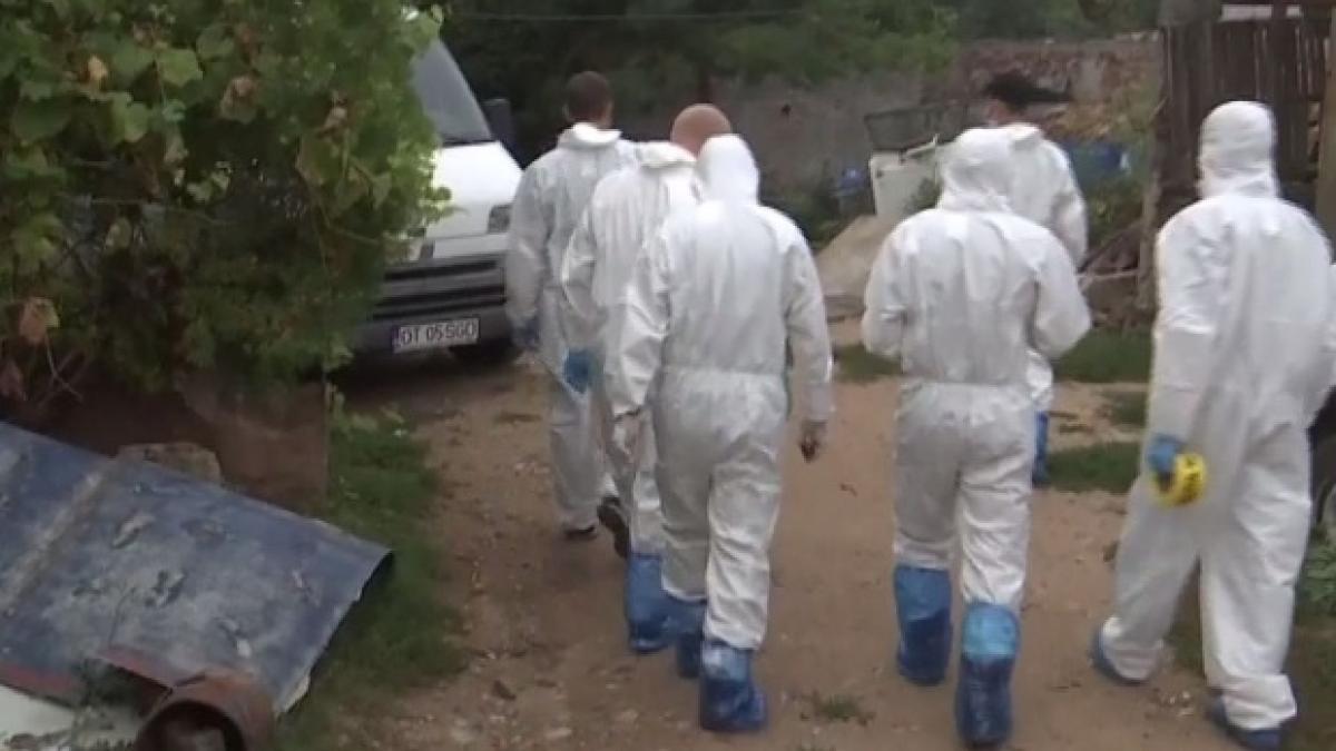 crima-caracal_55365200