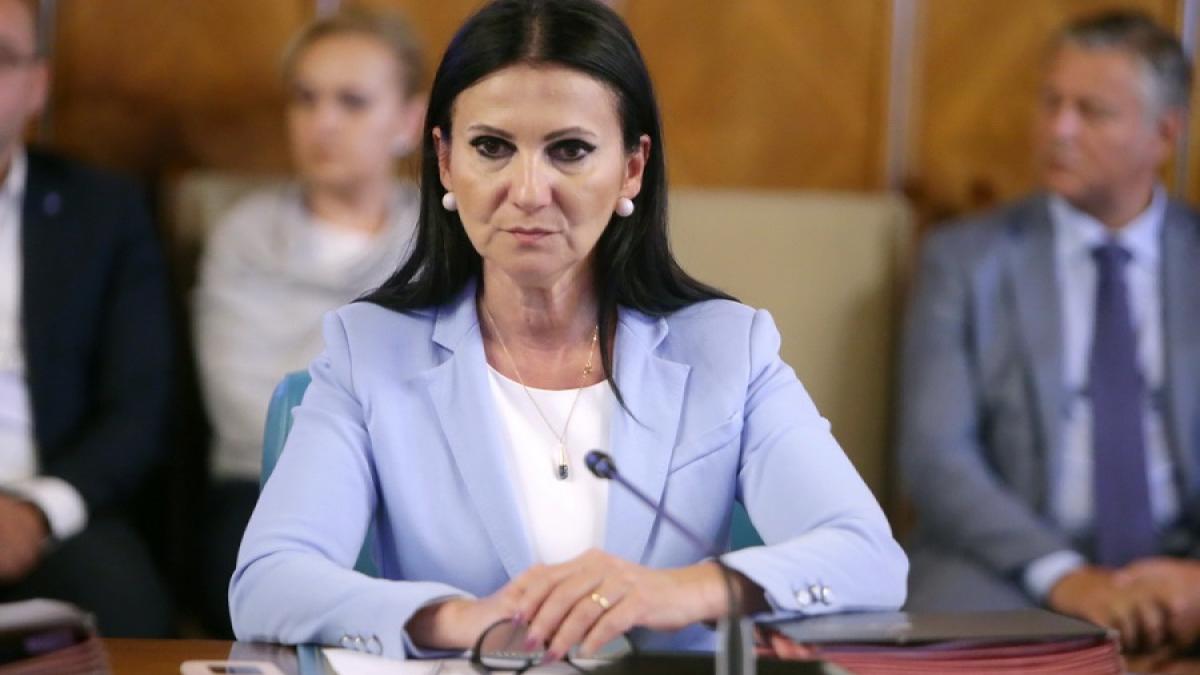 sorina_pintea_gov_93726000