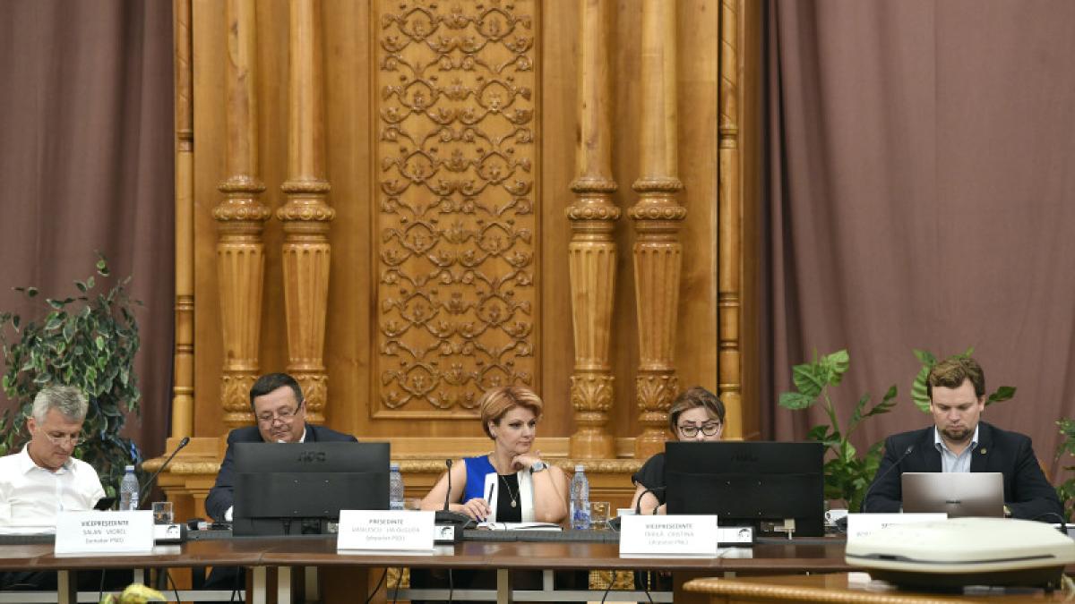 li-olguta-vasilescu_44587000