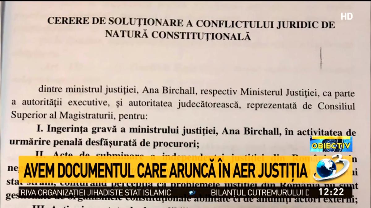 document-sesizare-lia-savonea-ana-birchall_59323500