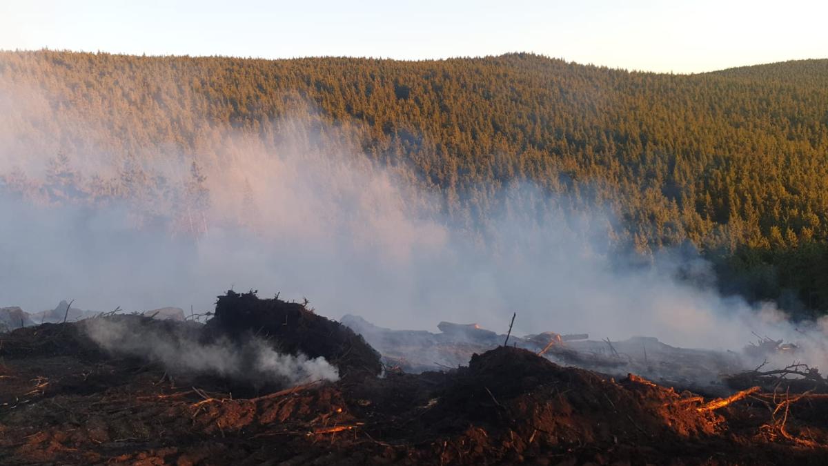 whatsapp-image-2019-10-17-at-12-33-33_59082200