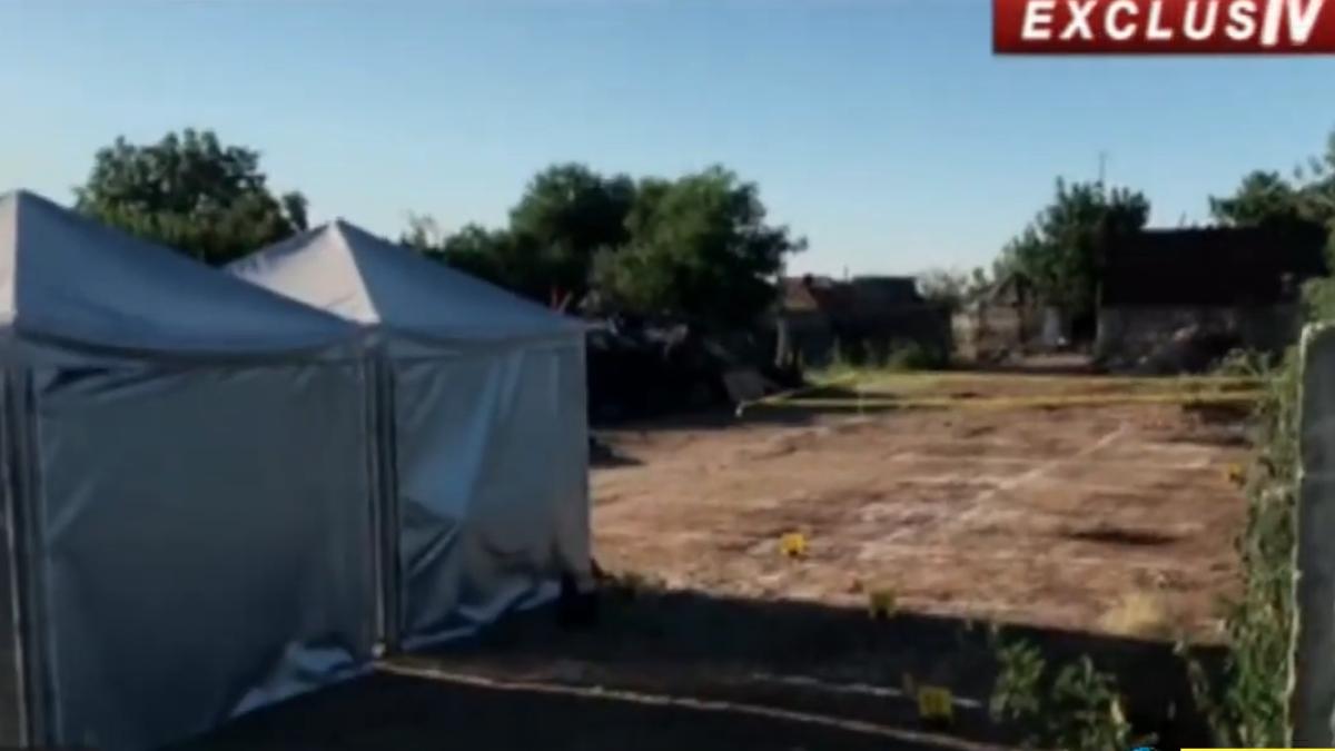 screenshot-2019-08-14-at-19-16-03_90318500