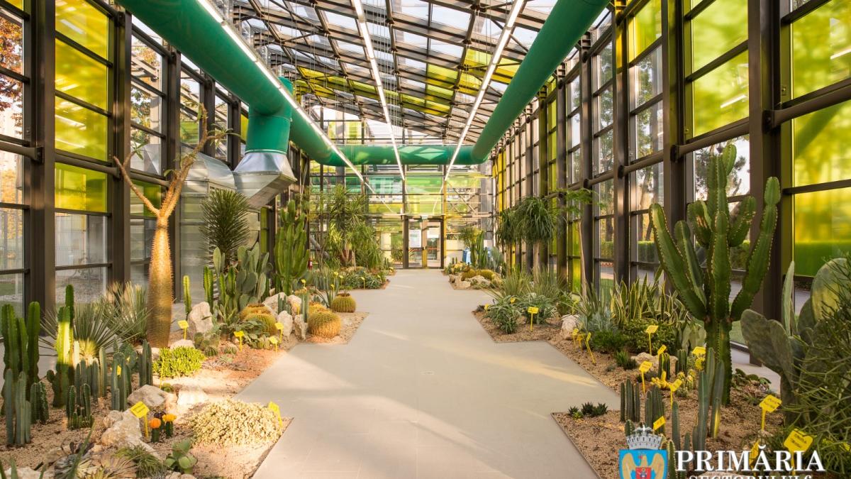 sere-drumul-taberei_24344100