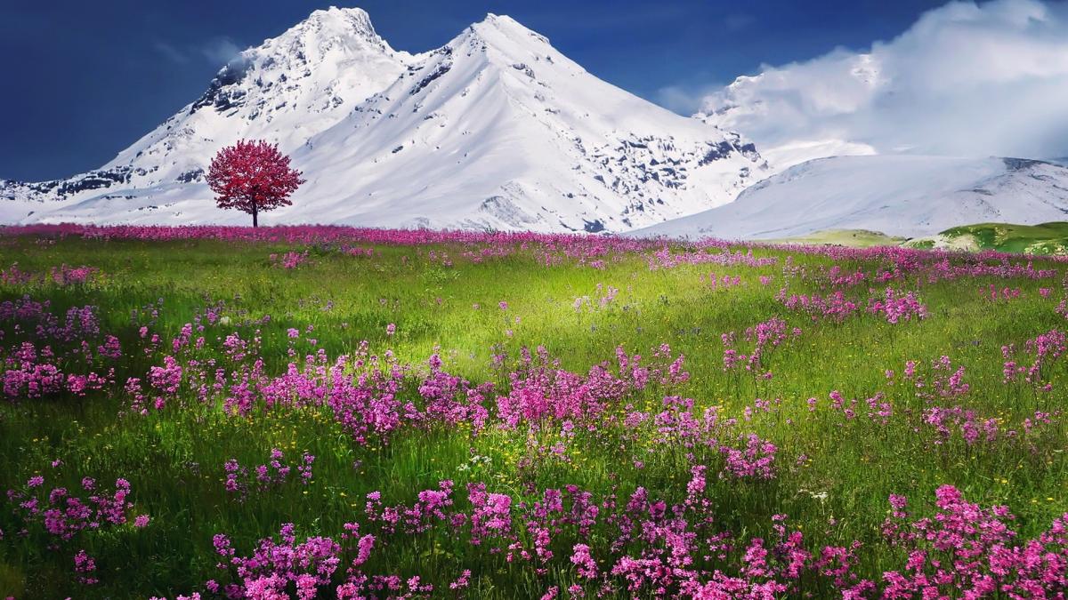 vara---iarna---munti_71539000