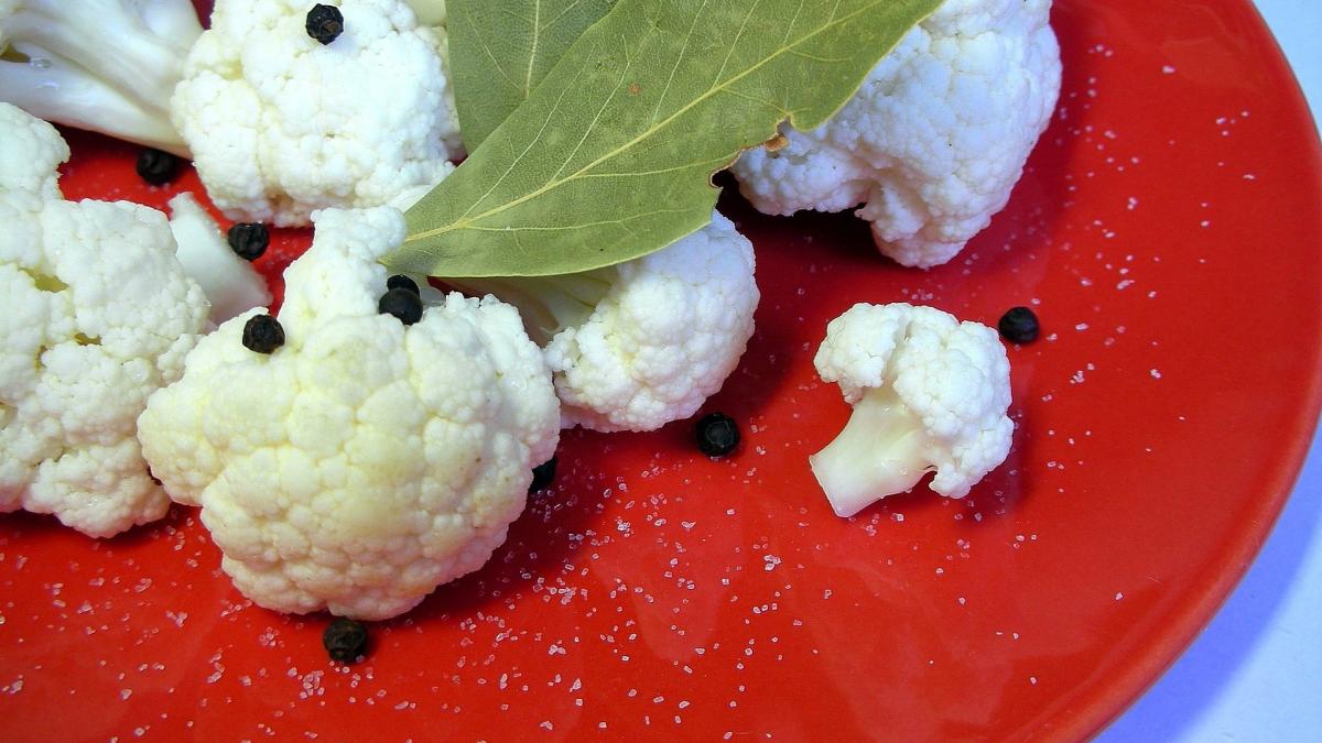 plate-260064_1920_32075600