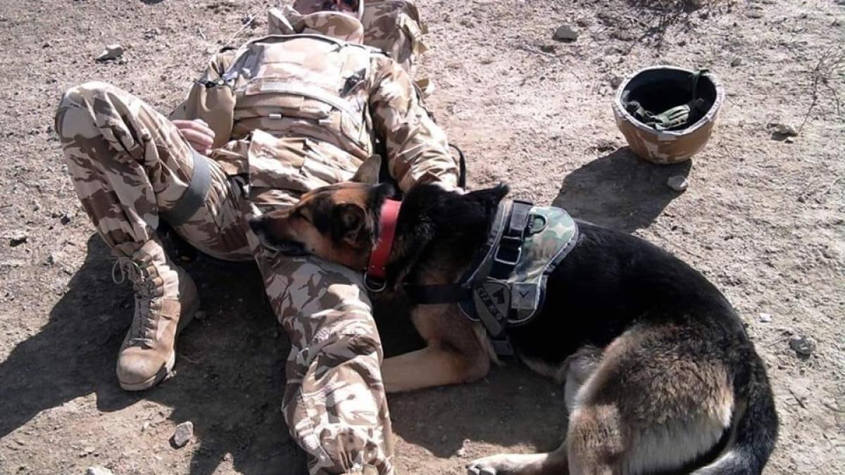 73317394_2775882005784737_1727630812196634624_n_98564600