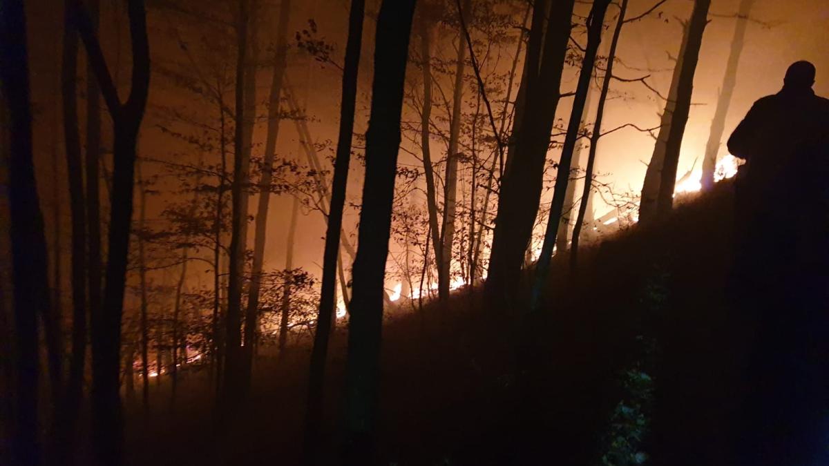 whatsapp-image-2019-10-28-at-03-55-54_73201200