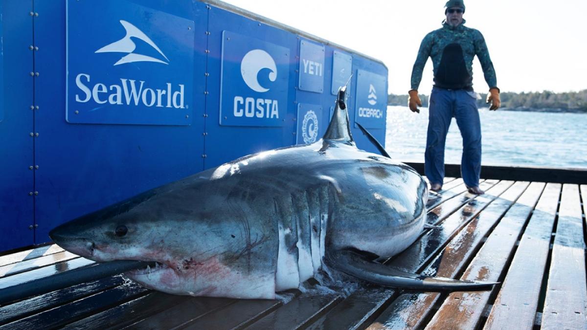 screenshot-2019-10-28-at-09-46-12_03809400