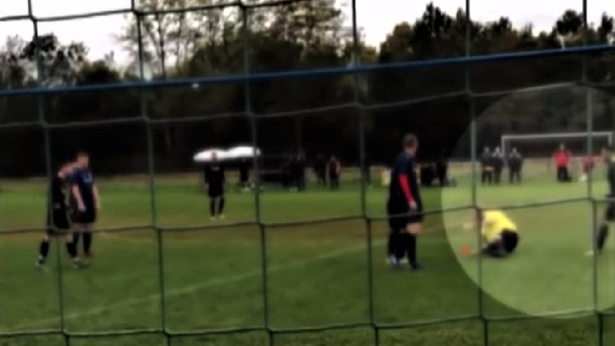 arbitru_pumn_germania_cpv_31014000