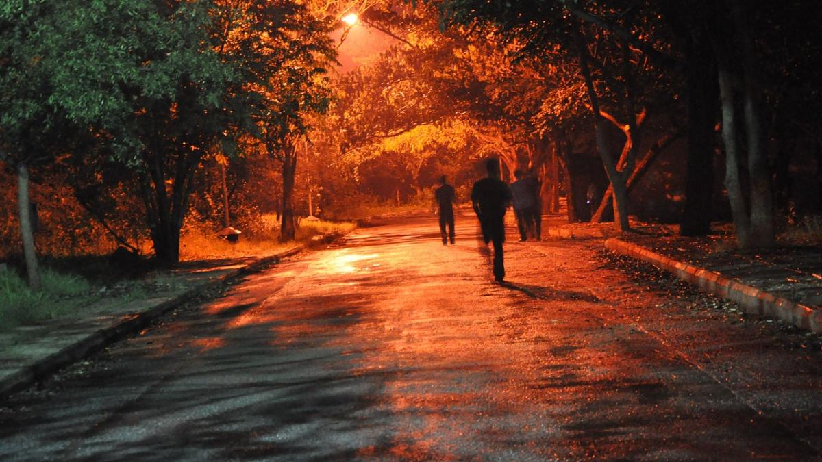 cosmar-urmarit-in-vis-alergat_40379900