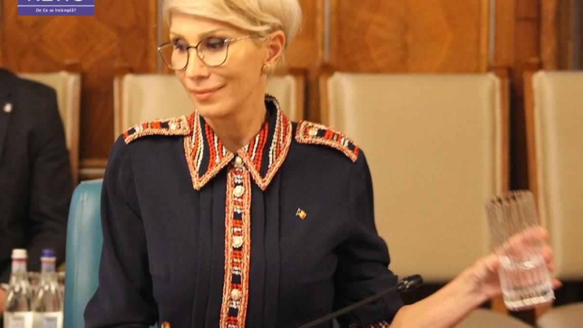 raluca_turcan_sedinta_guv_dcn02_17878800