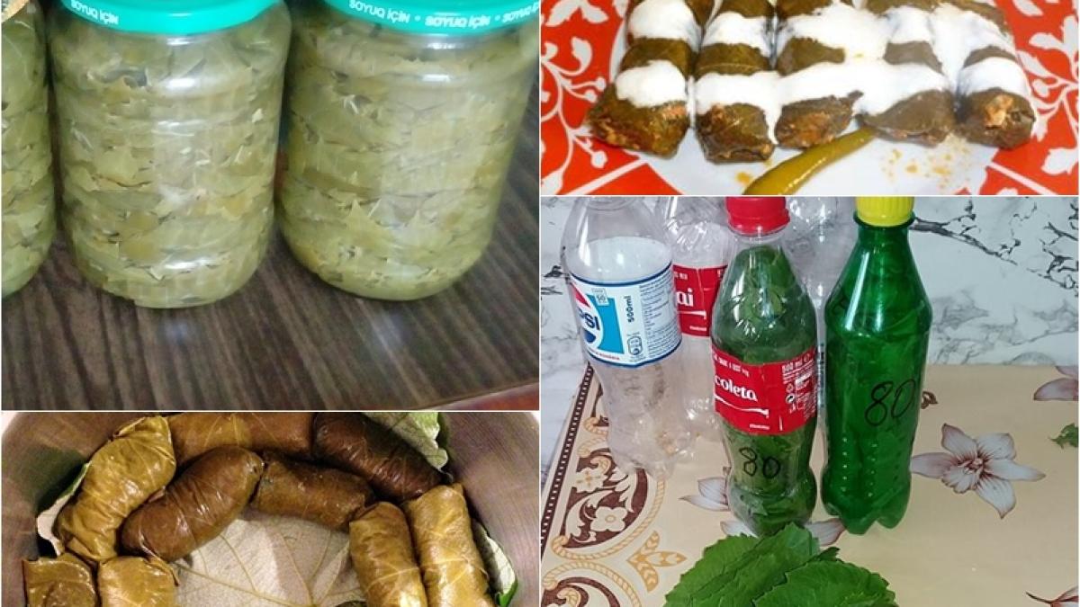 foi-de-vita-pastrare-iarna_56854500