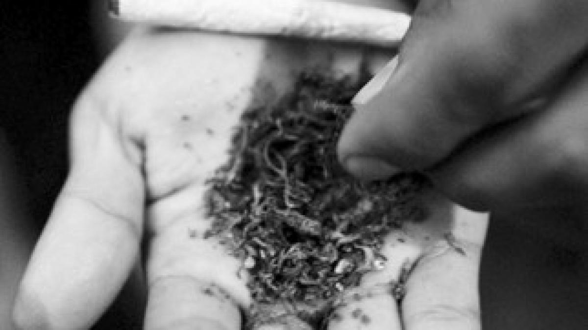 produse-etnobotanice