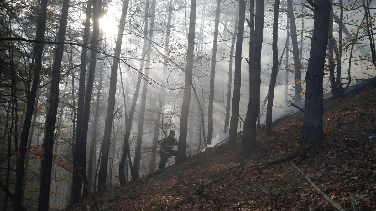 incendiu-padure_60911700