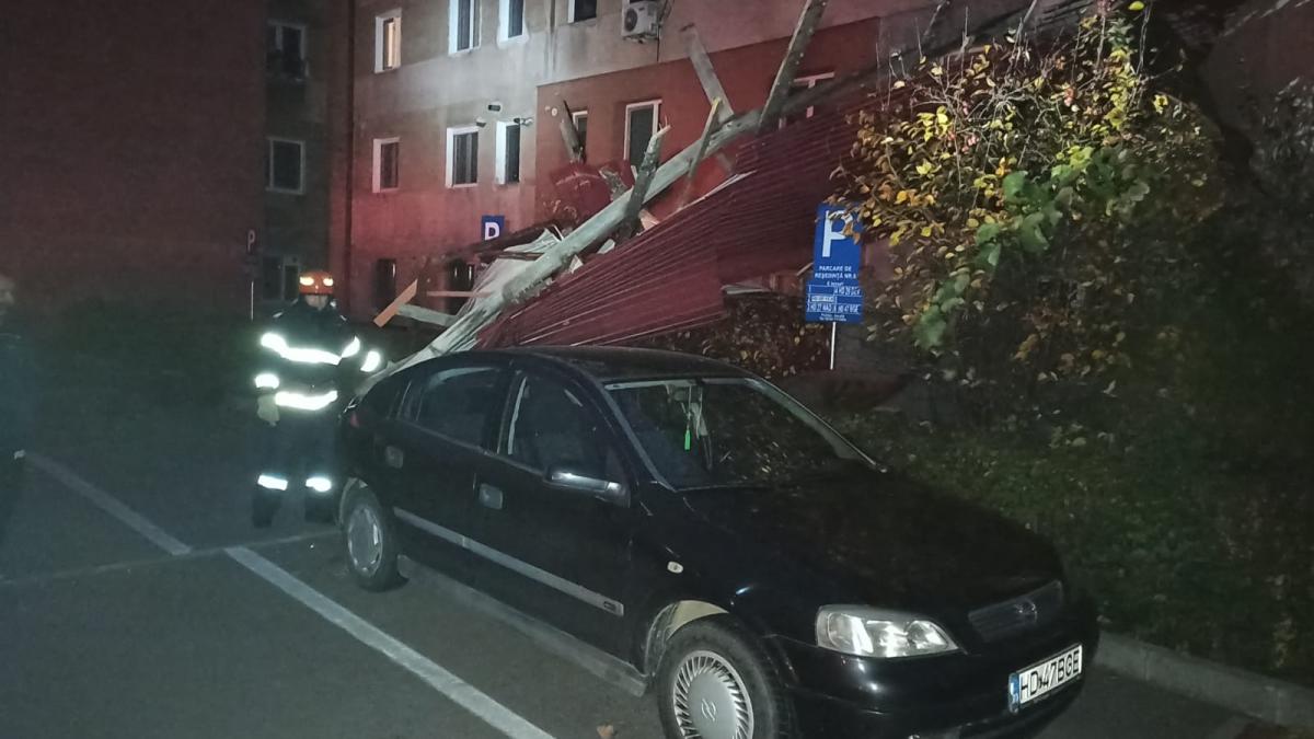 whatsapp-image-2019-11-13-at-08-09-45_83723000