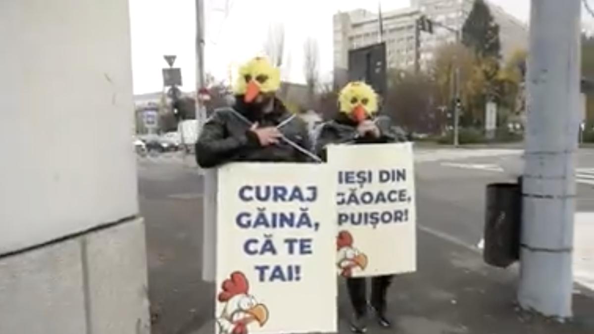 manifest-gaini-cotroceni_31124900