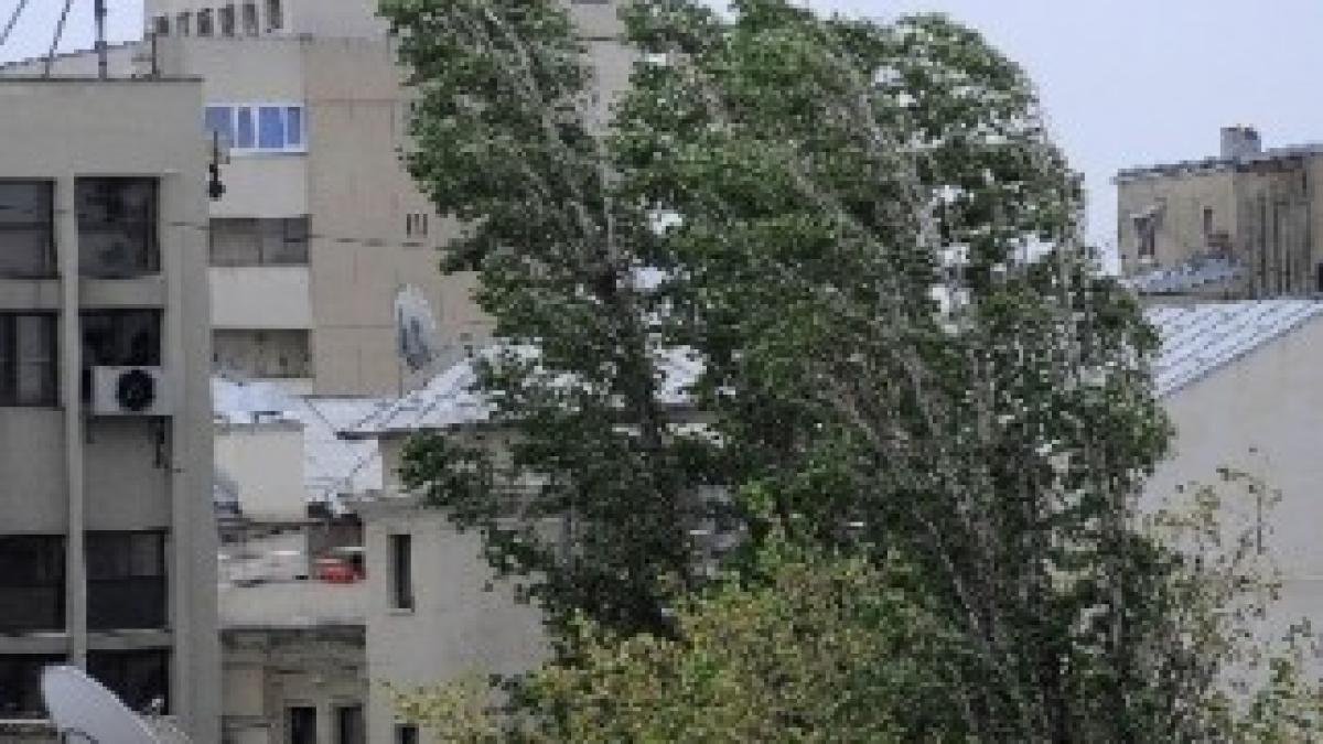 avertizare-de-vant-puternic-pentru-buzau-ialomita-si-calarasi-pana-la-ora-18-00-203604