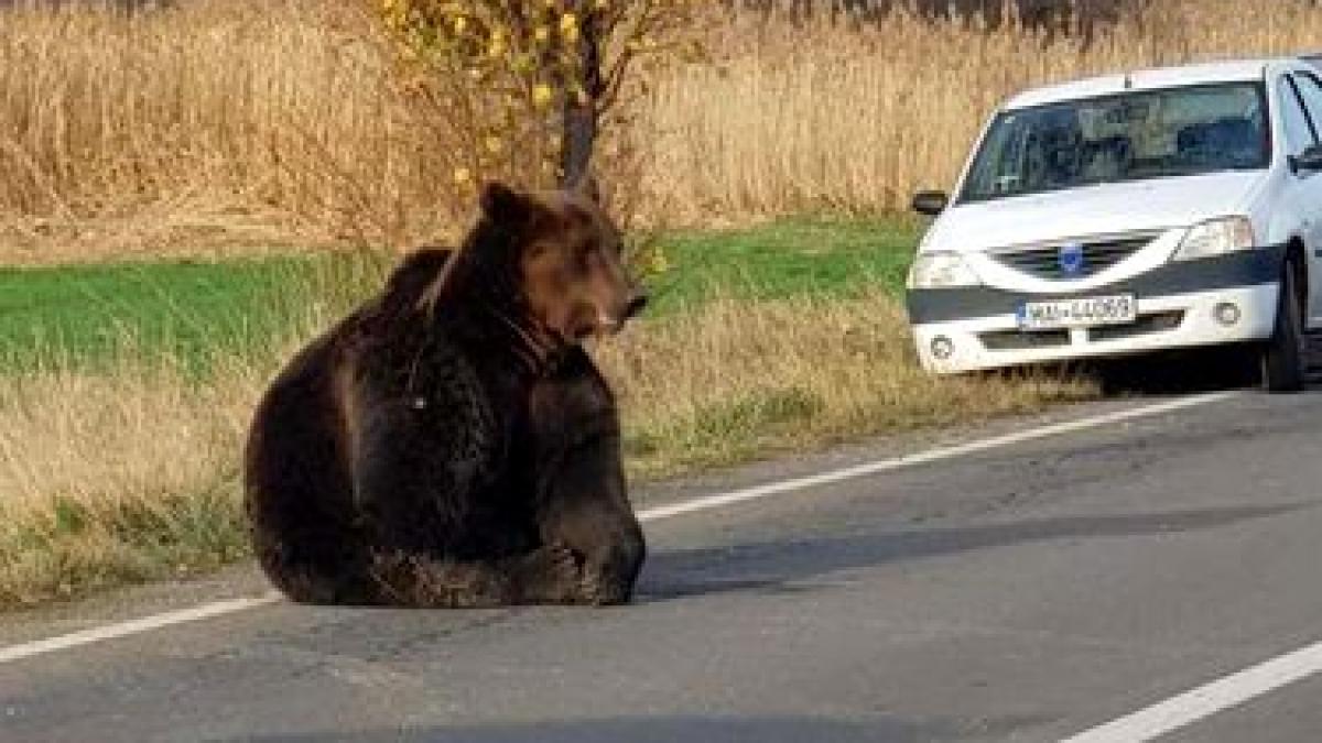 75456878_2352493808333964_6620556056579801088_n_98170900