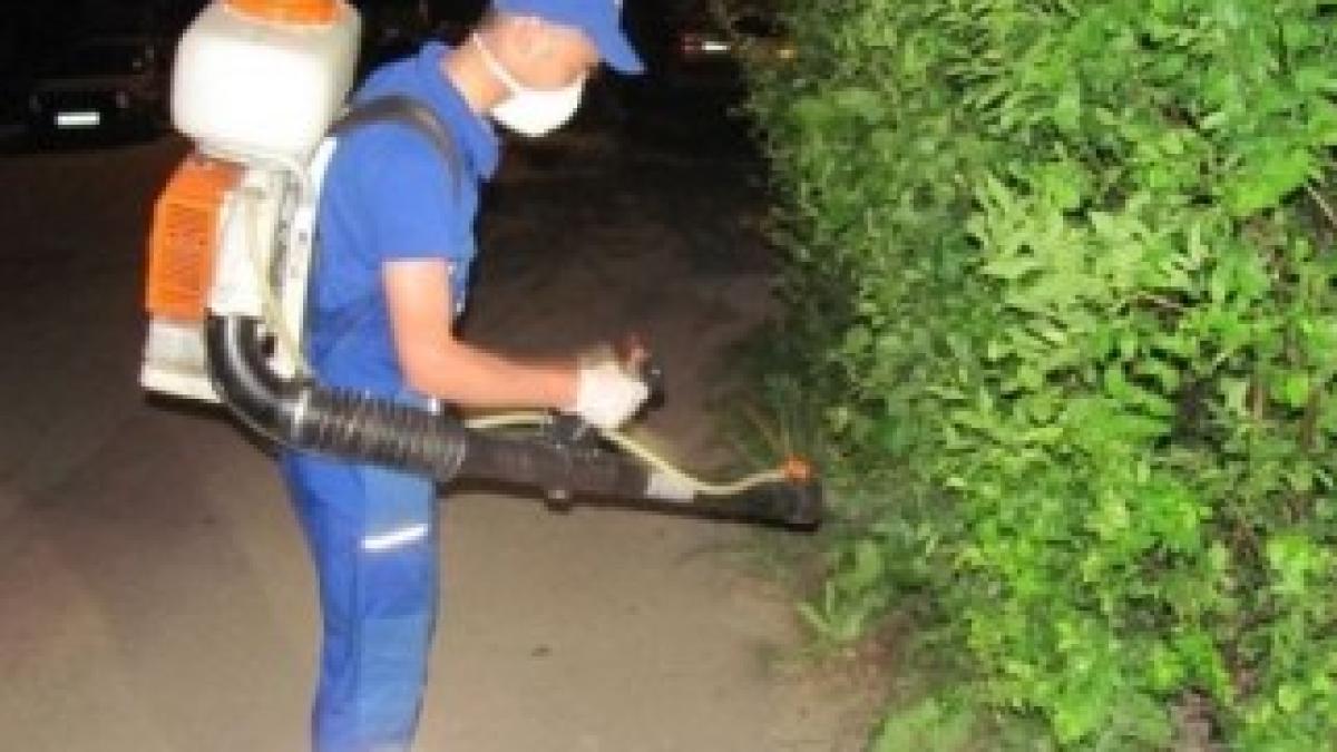 dezinsectie-si-deratizare2