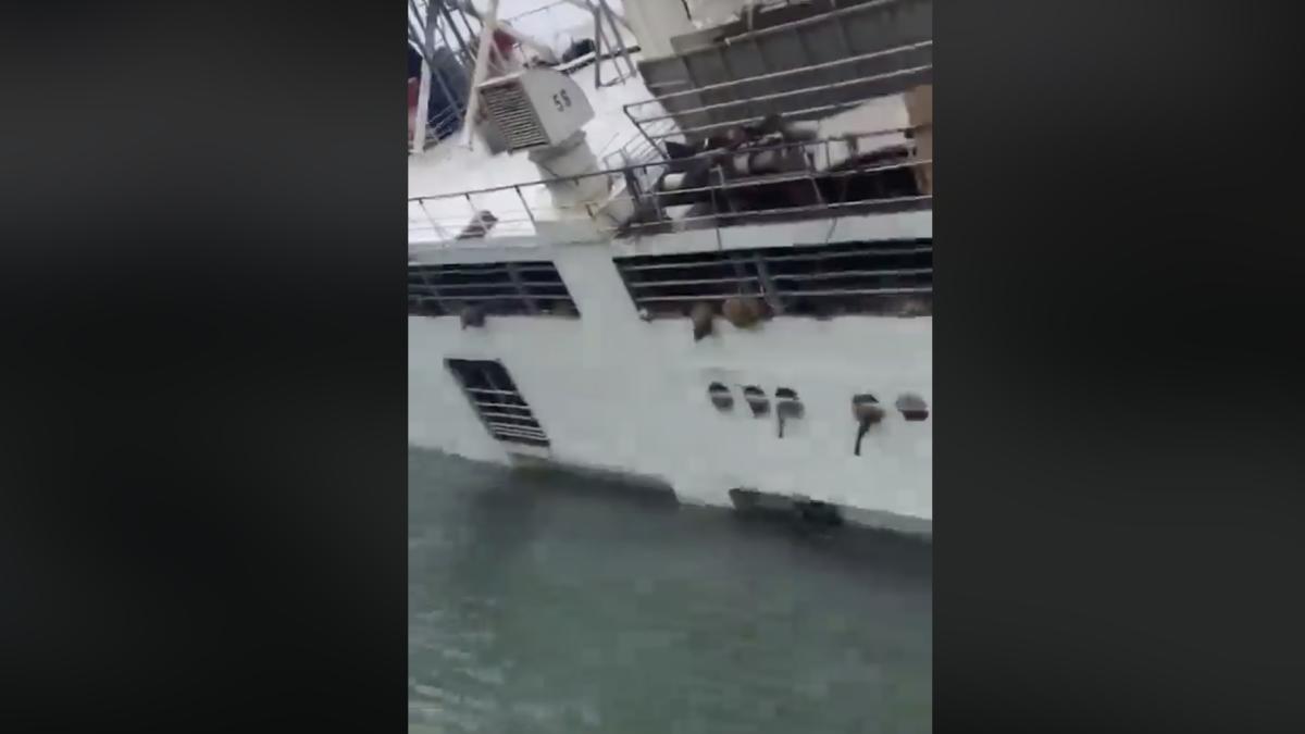 captura-de-ecran-din-2019-11-25-la-01-50-04_29356900