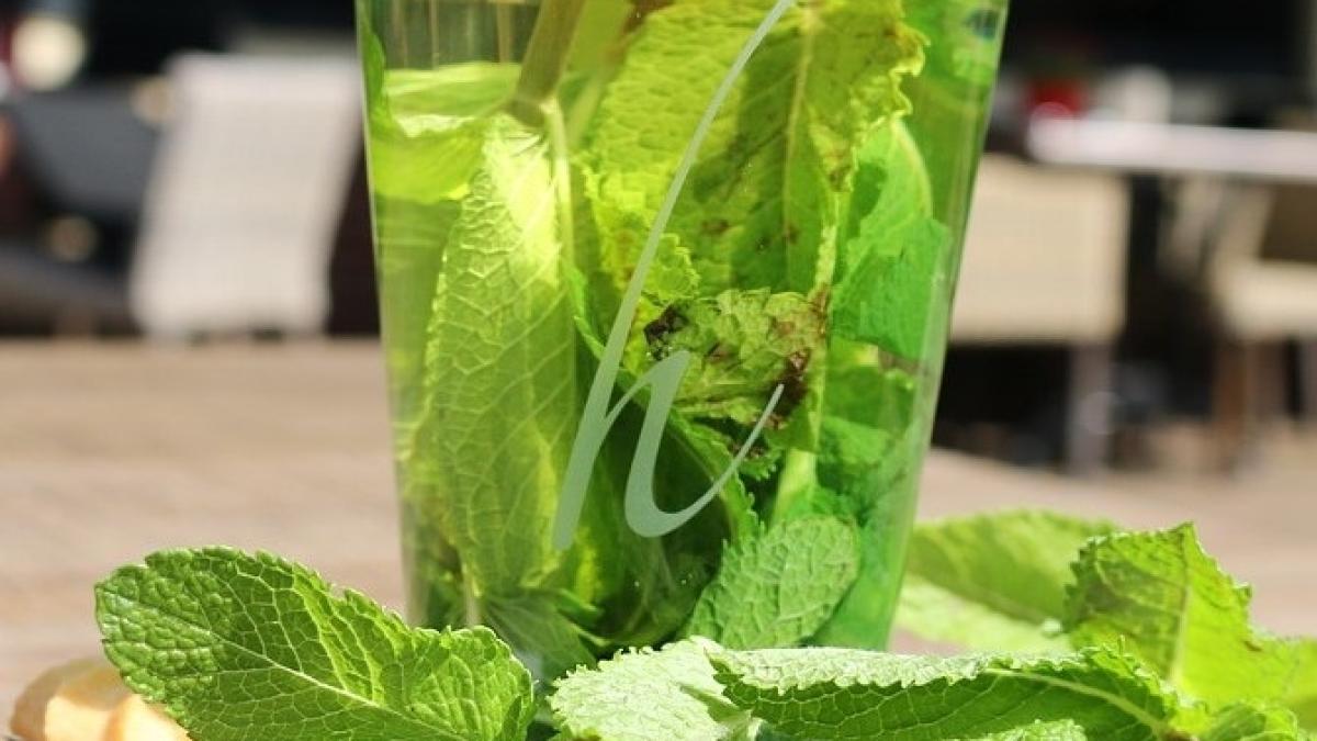 menta_bautura_racoritoare_36272400