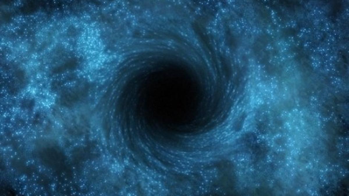 gaura_neagra_16265800