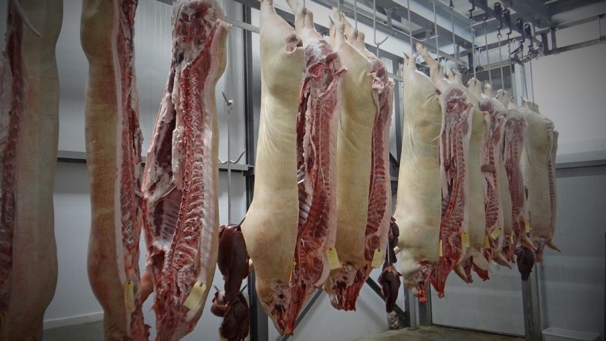 porci_taiati_macelarie_depozit_pxb_16853700