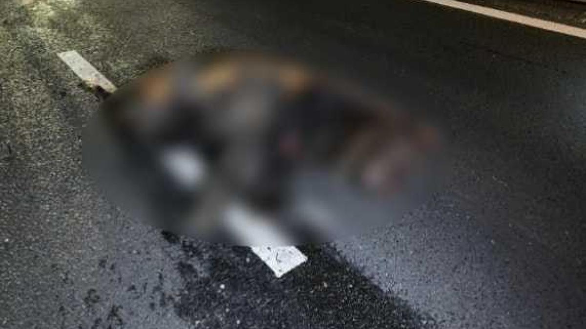 urs_mort_blur__90943700