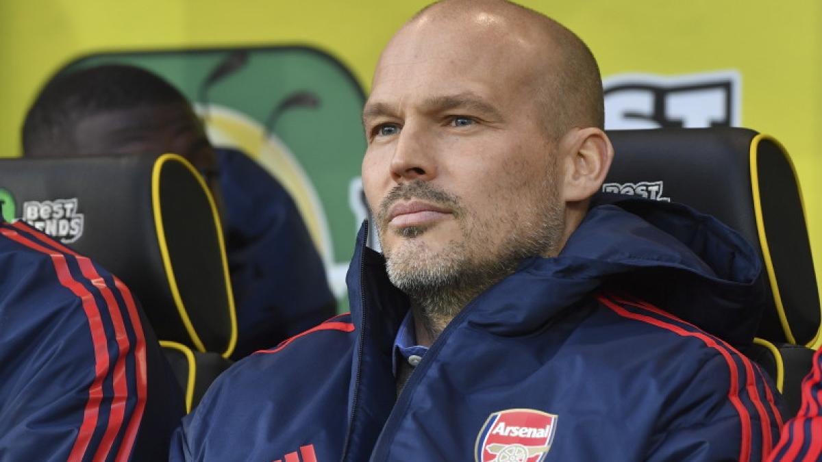 freddie_ljungberg_23566600