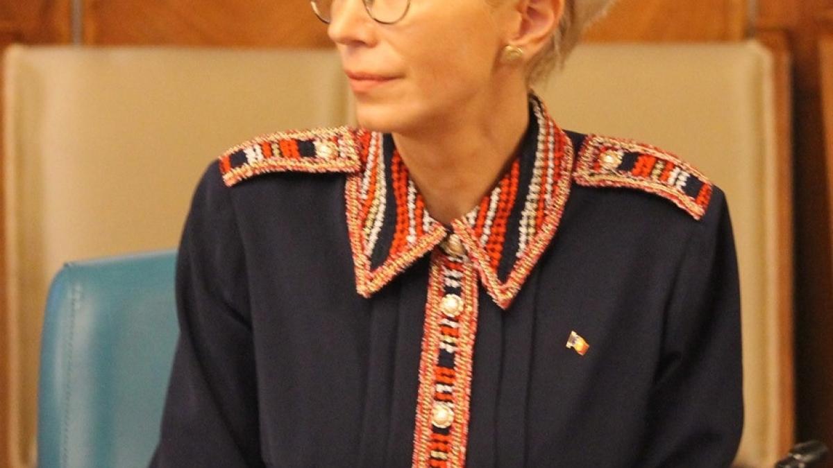 raluca_turcan_sedinta_guv_dcn_19244900