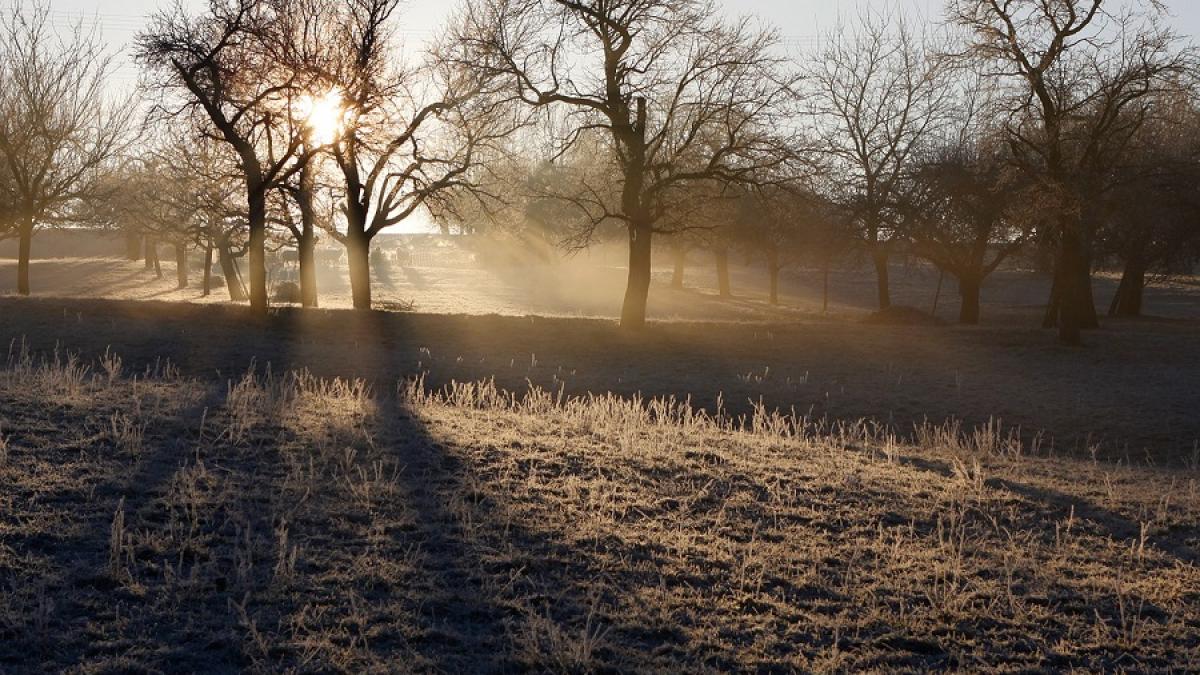 vreme_frig_meteo_ger_pxb_73776600