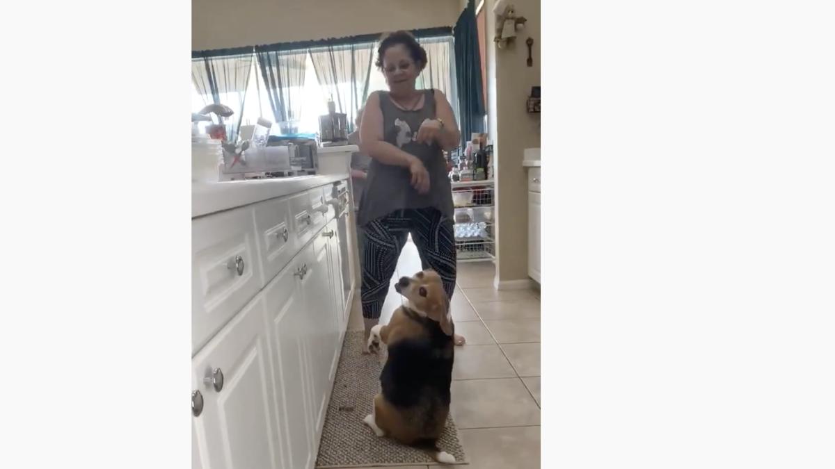 captura-de-ecran-din-2019-12-13-la-23-30-53_65516700