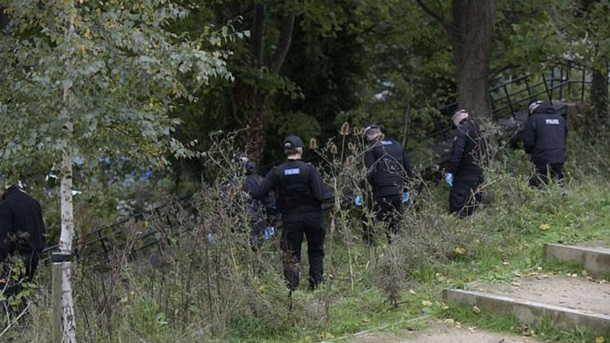 viol-marea-britanie_80688300