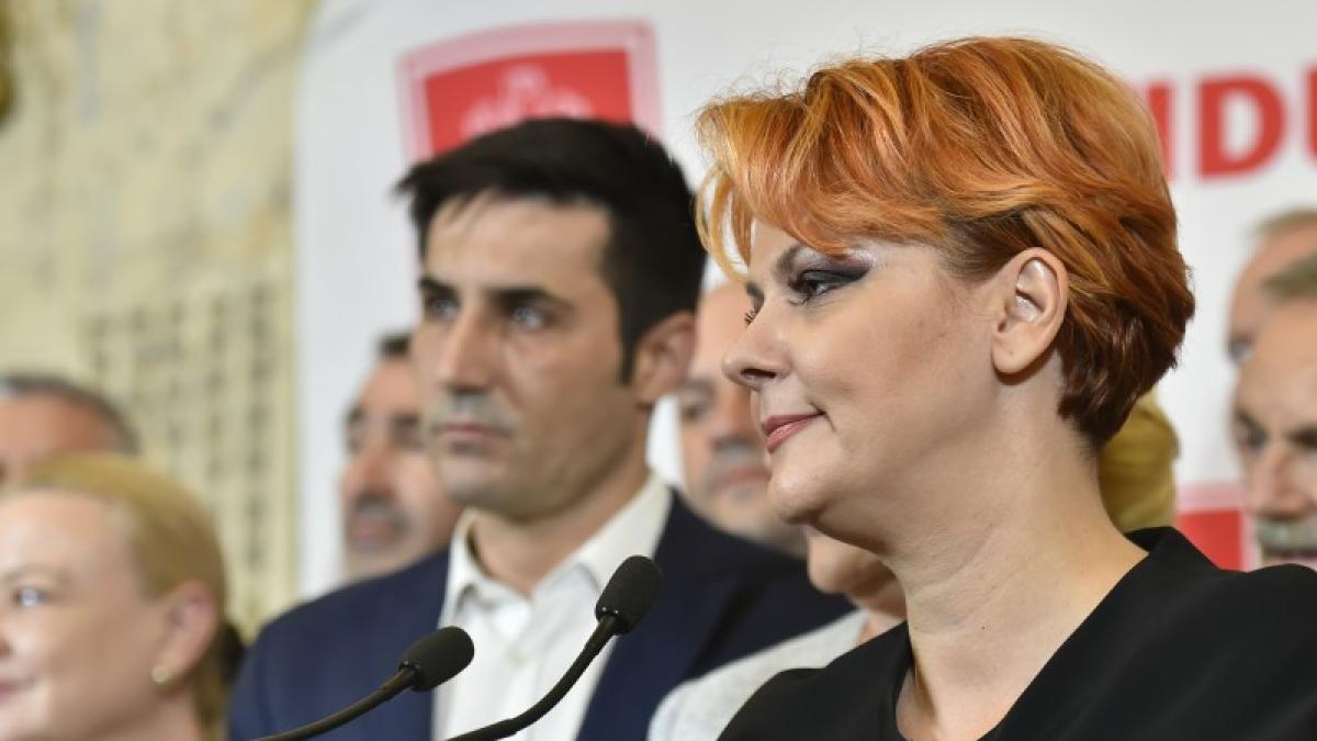 olguta-vasilescu-profil_15520800