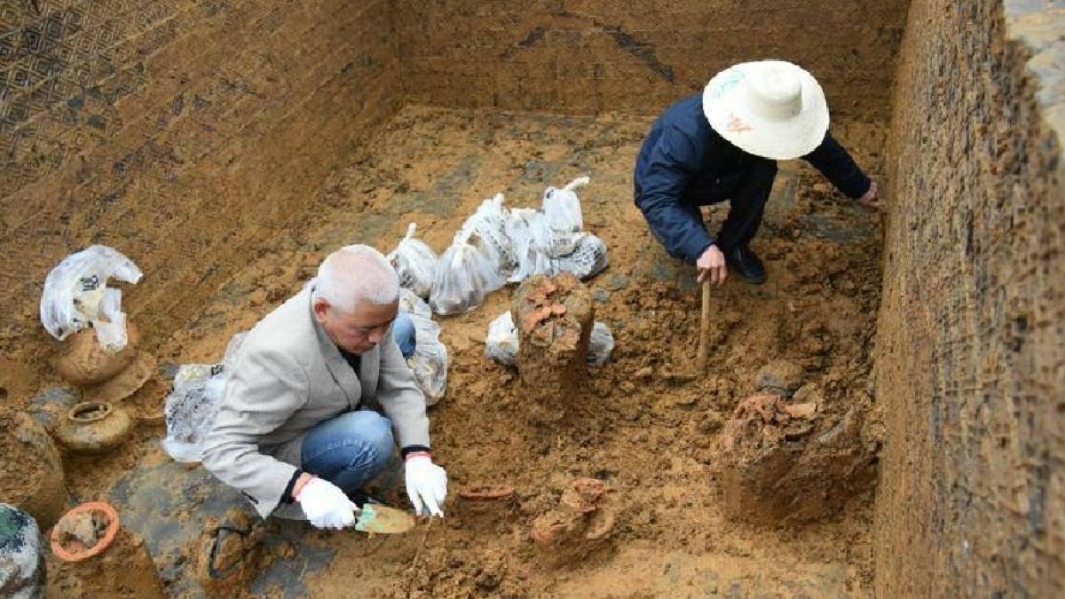 chinezimormant_90822600